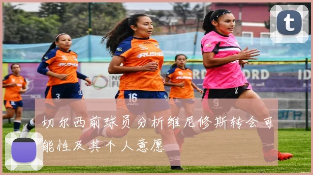 切尔西前球员分析维尼修斯转会可能性及其个人意愿