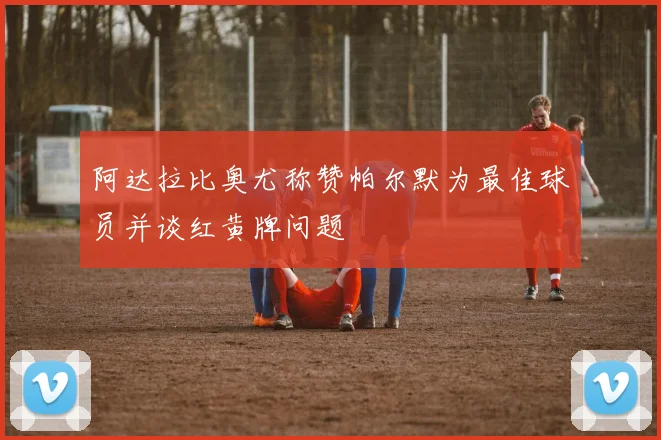 阿达拉比奥尤称赞帕尔默为最佳球员并谈红黄牌问题