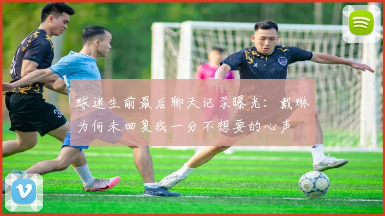 球迷生前最后聊天记录曝光：戴琳为何未回复我一分不想要的心声