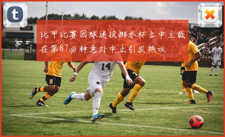 比甲比赛因球迷投掷水杯击中主裁在第87分钟意外中止引发热议
