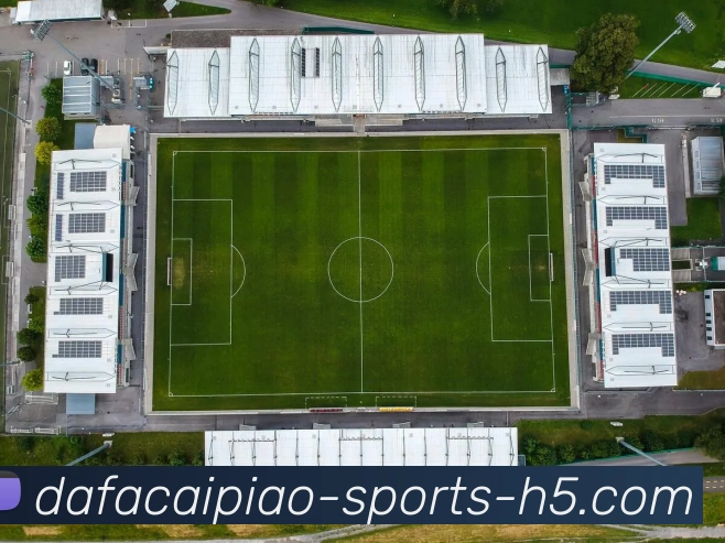 大发彩票平台生态图