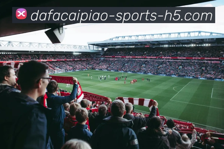 大发彩票APP 封面图